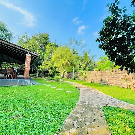Green Cottage Anuradhapura Exterior photo