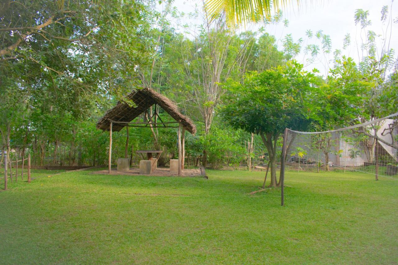 Green Cottage Anuradhapura Exterior photo