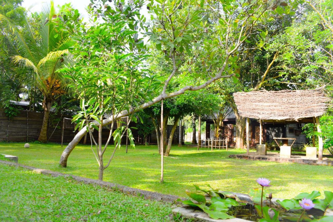 Green Cottage Anuradhapura Exterior photo