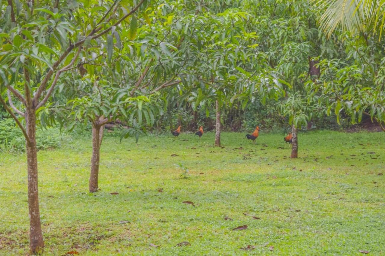 Green Cottage Anuradhapura Exterior photo