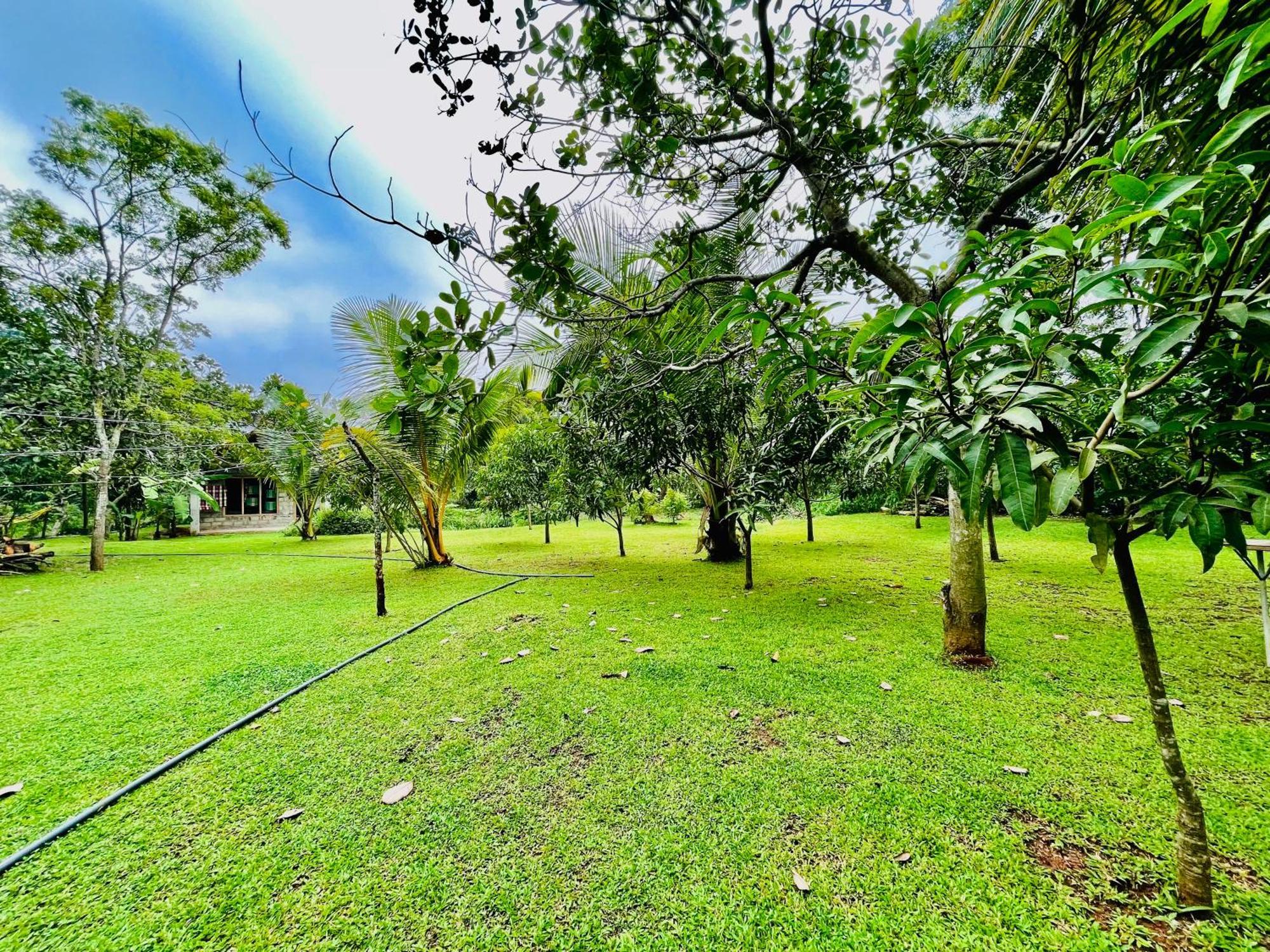 Green Cottage Anuradhapura Exterior photo